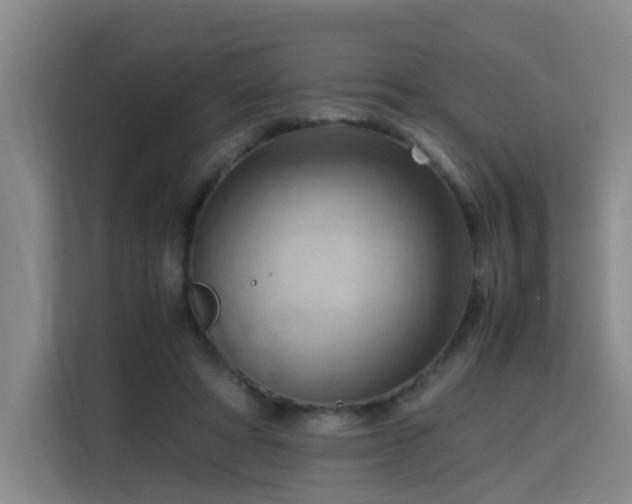 X0000115800402200911201402