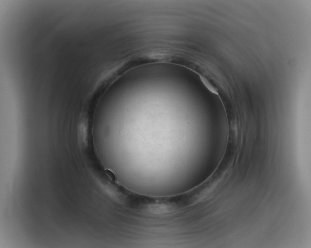 X0000115800404200911201402