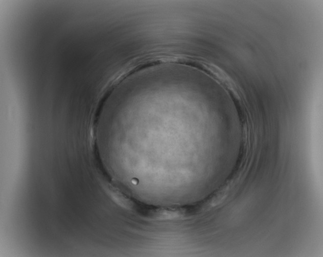X0000115800405200911201402