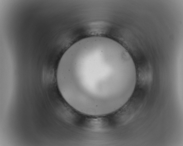 X0000115800411200911201402