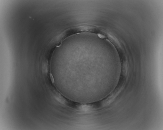 X0000115800413200911201402