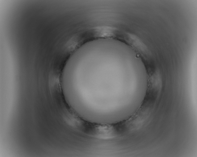X0000115800415200911201402