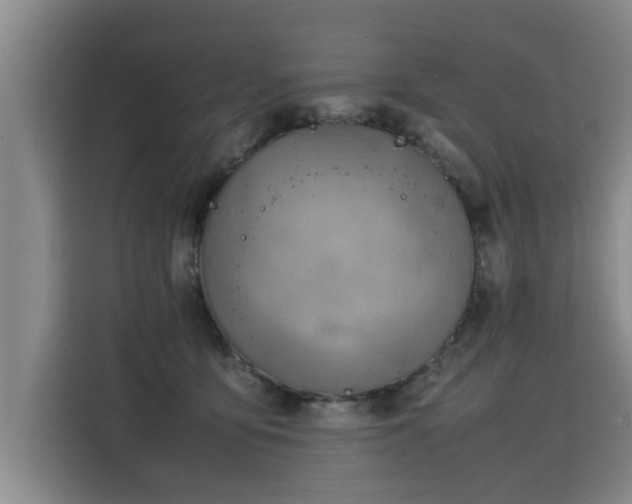 X0000115800419200911201402