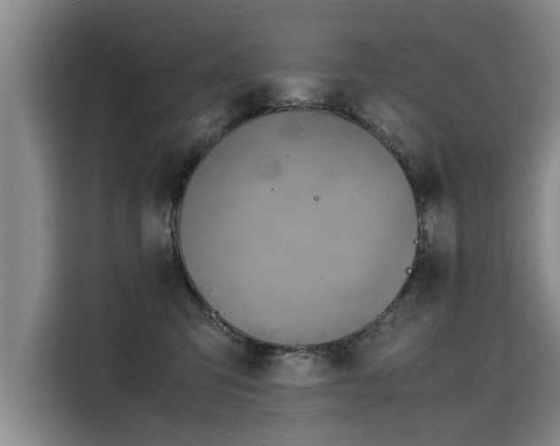 X0000115800423200911201402