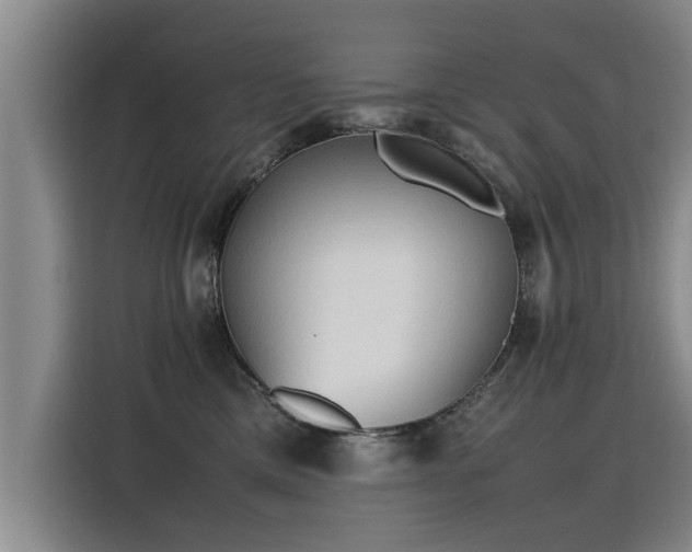 X0000115800425200911201402