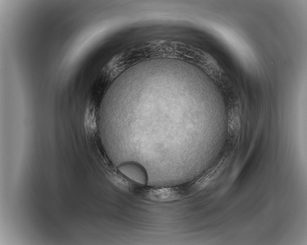 X0000115800431200911201401
