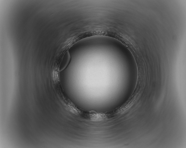 X0000115800432200911201401
