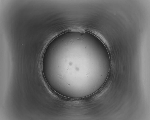 X0000115800433200911201401
