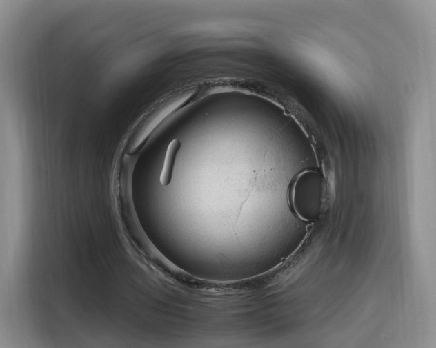 X0000115800435200911201401