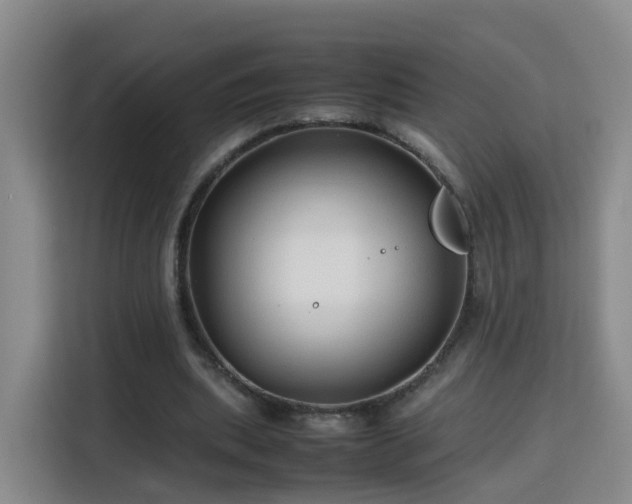 X0000115800439200911201401