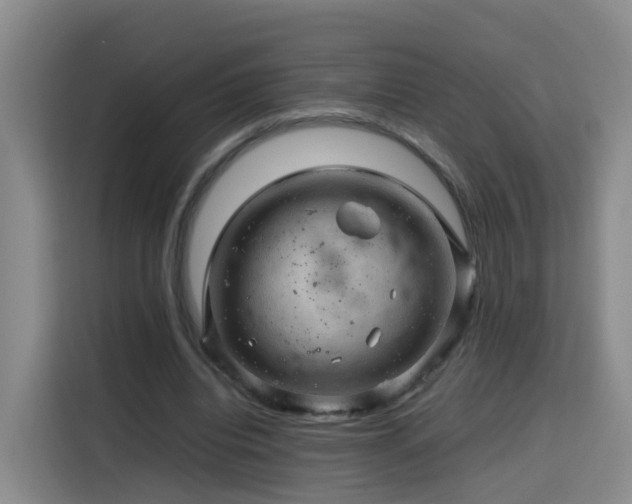 X0000115800440200911201401