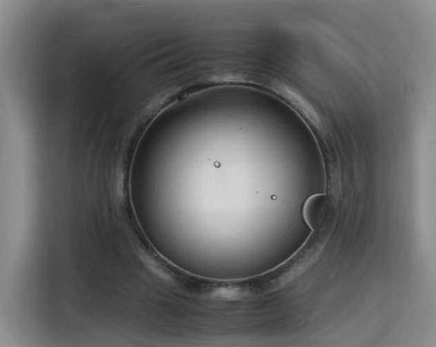 X0000115800441200911201401