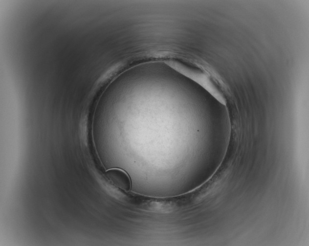 X0000115800442200911201401