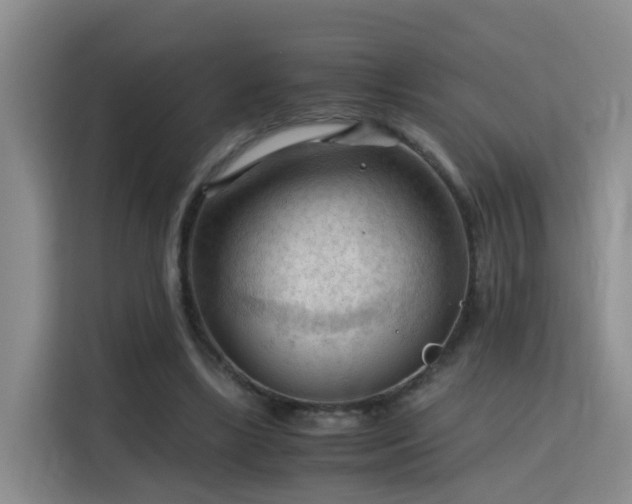 X0000115800443200911201401