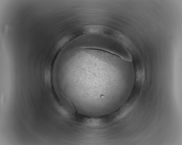 X0000115800444200911201401