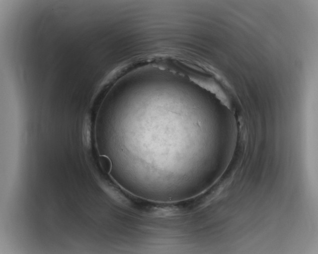 X0000115800446200911201401