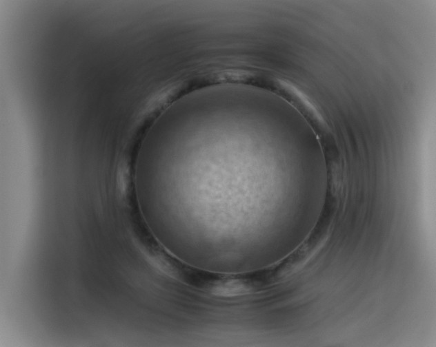 X0000115800451200911201401