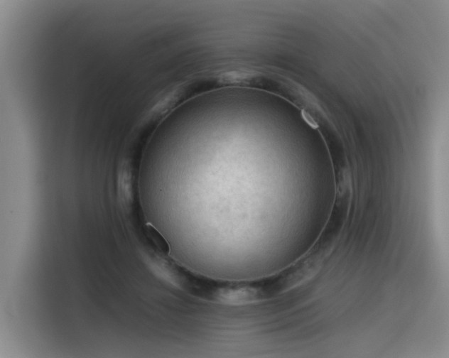X0000115800452200911201401