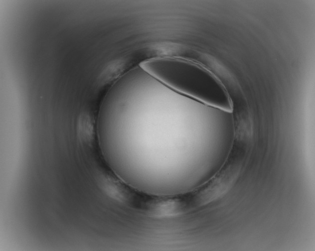 X0000115800456200911201401