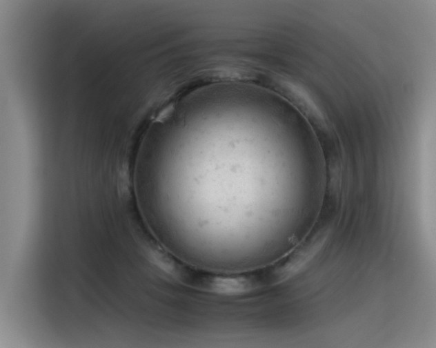 X0000115800457200911201401