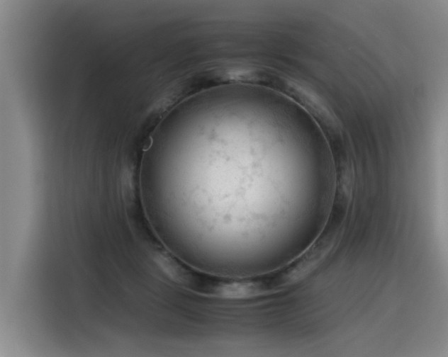 X0000115800461200911201401