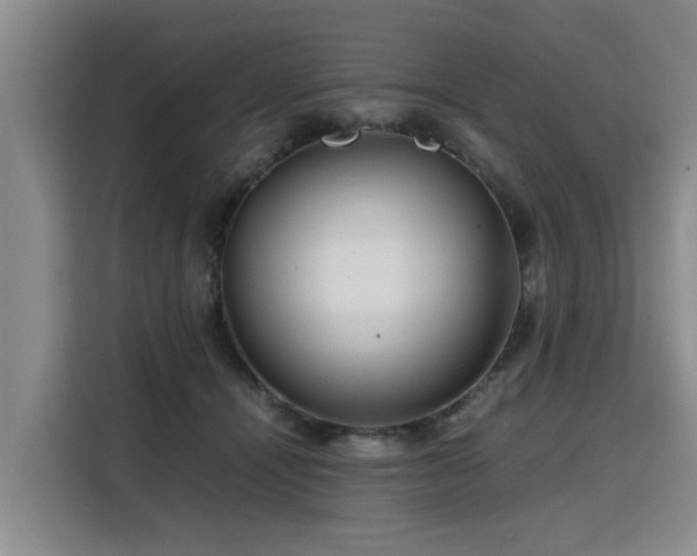 X0000115800464200911201401