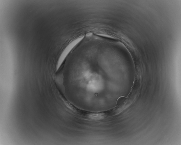 X0000115800465200911201401