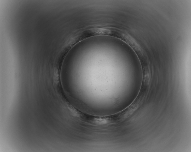 X0000115800469200911201401