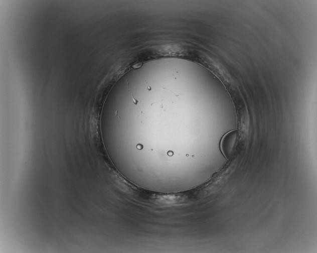 X0000115800473200911201401