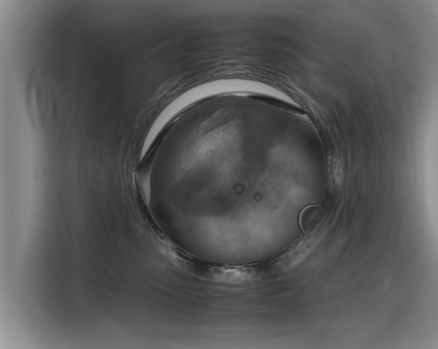 X0000115800475200911201401