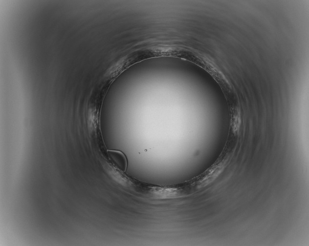 X0000115800476200911201401