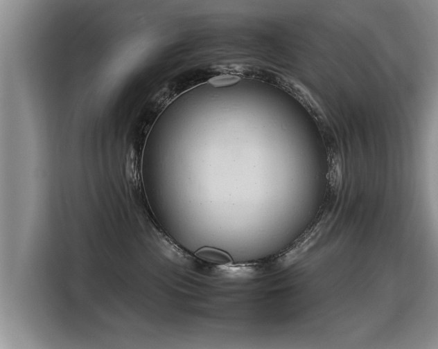 X0000115800477200911201401