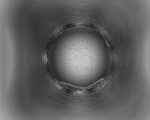 X0000115800479200911201401