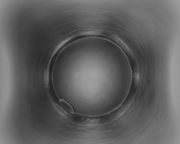 X0000115800484200911201401
