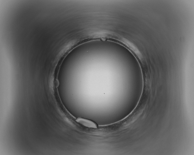 X0000115800485200911201401