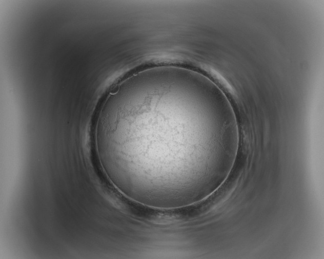 X0000115800487200911201401