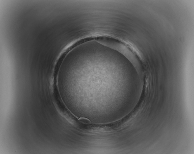 X0000115800488200911201401