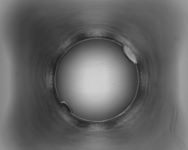 X0000115800489200911201401