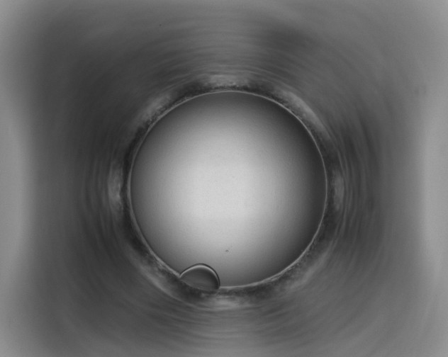 X0000115800490200911201401