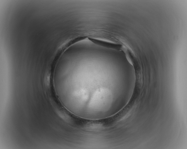 X0000115800491200911201401