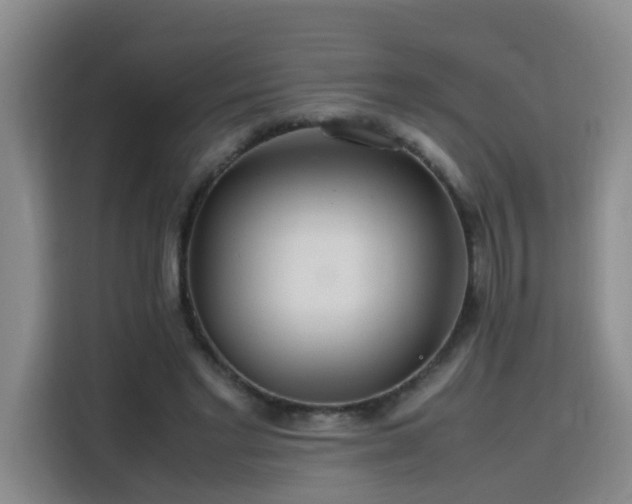 X0000115800493200911201401