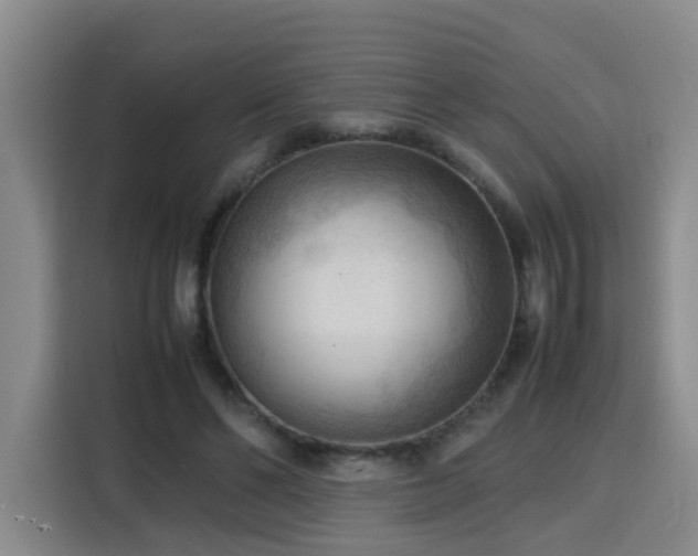 X0000115800494200911201401