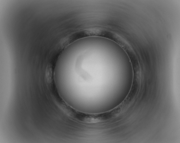 X0000115800498200911201401
