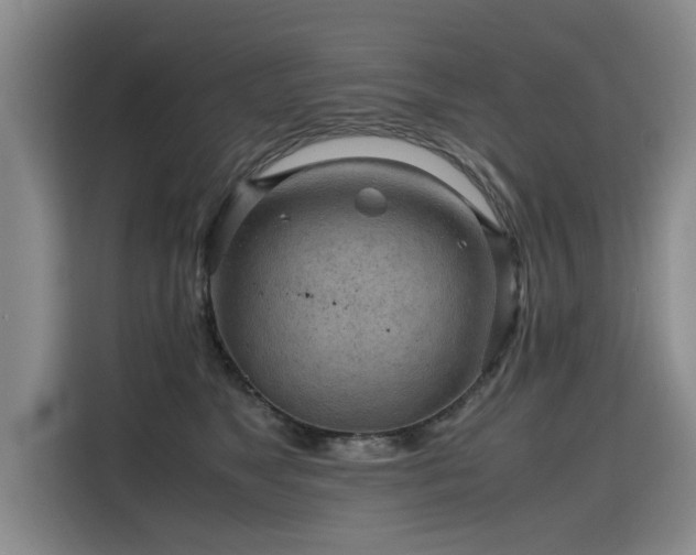X0000115800517200911201400