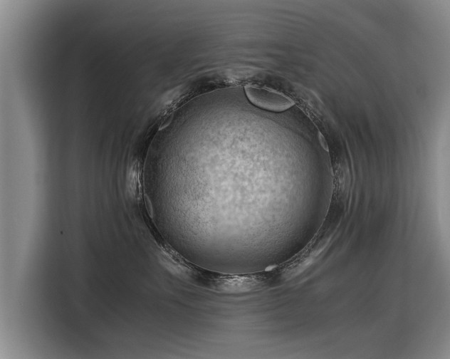 X0000115800527200911201400