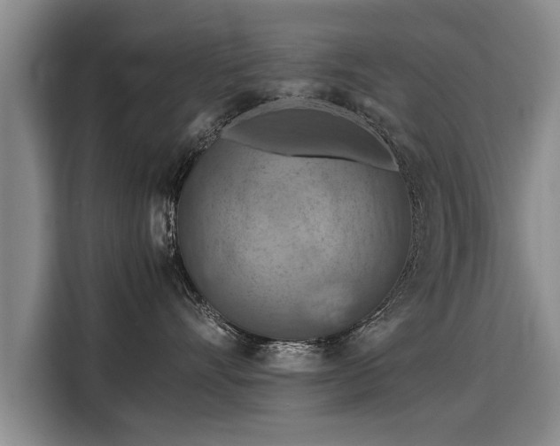 X0000115800528200911201400