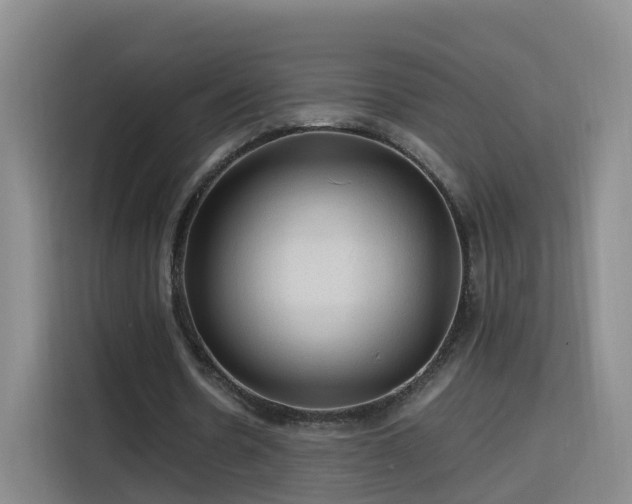 X0000115800530200911201359