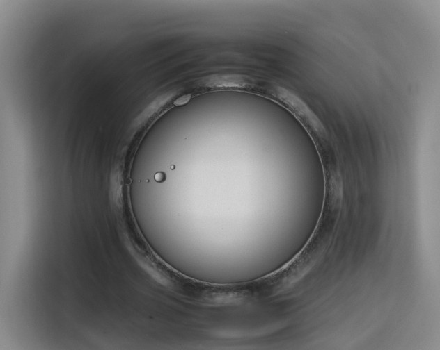 X0000115800533200911201359