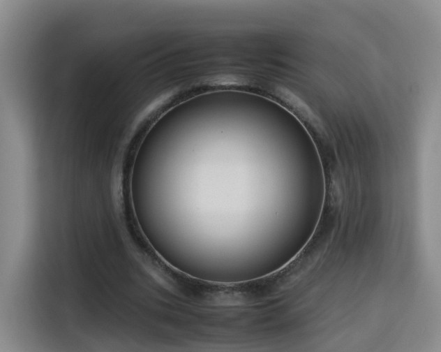X0000115800535200911201359