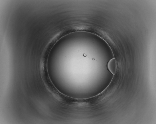 X0000115800539200911201400